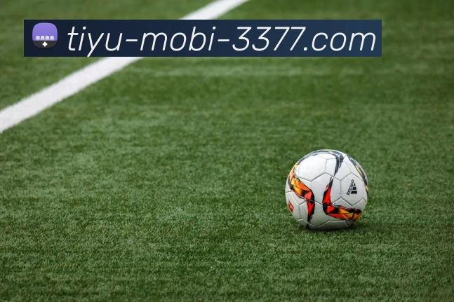 3377体育品牌故事