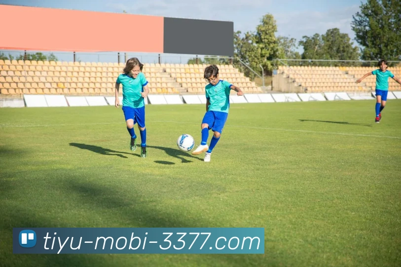 3377体育服务体系